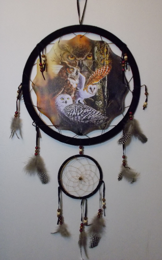 Picture of Owls Mandala Scene - Dreamcatcher  - by  Steven Michael Gardner