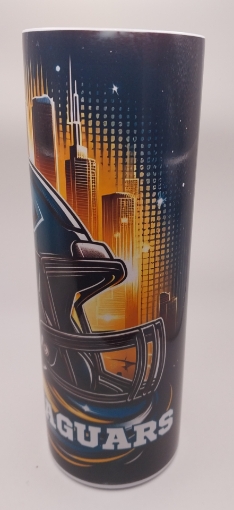 Picture of Jacksonville Jaguars Football City Landscape