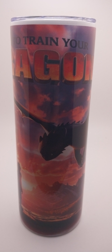 Picture of How to Train Your Dragon Movie (tumbler)
