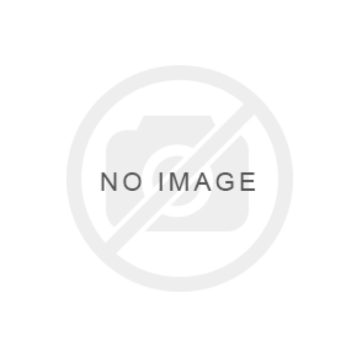 Picture of Stitch with Duck (plush)
